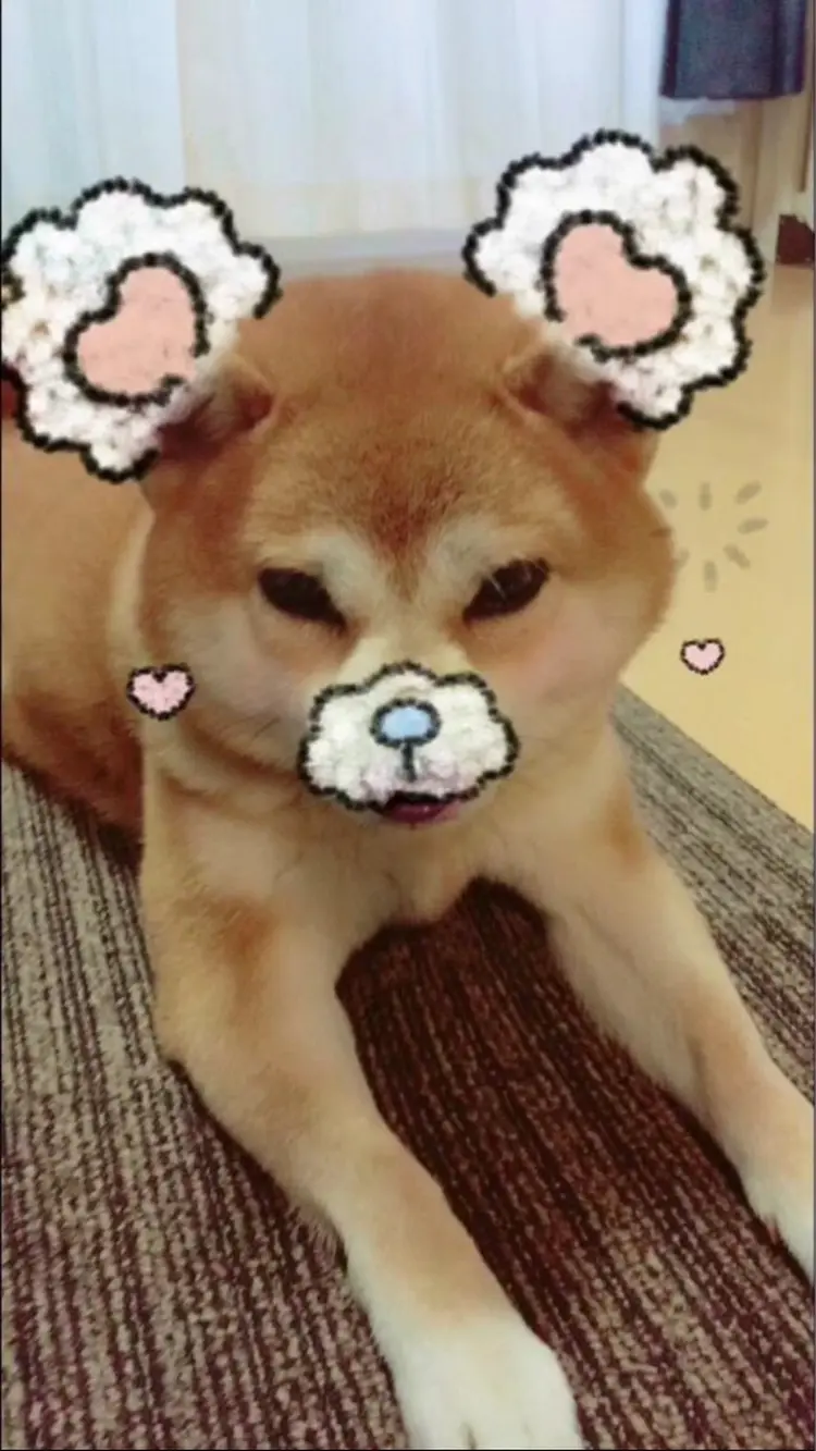 リアンジュの内観・外観2