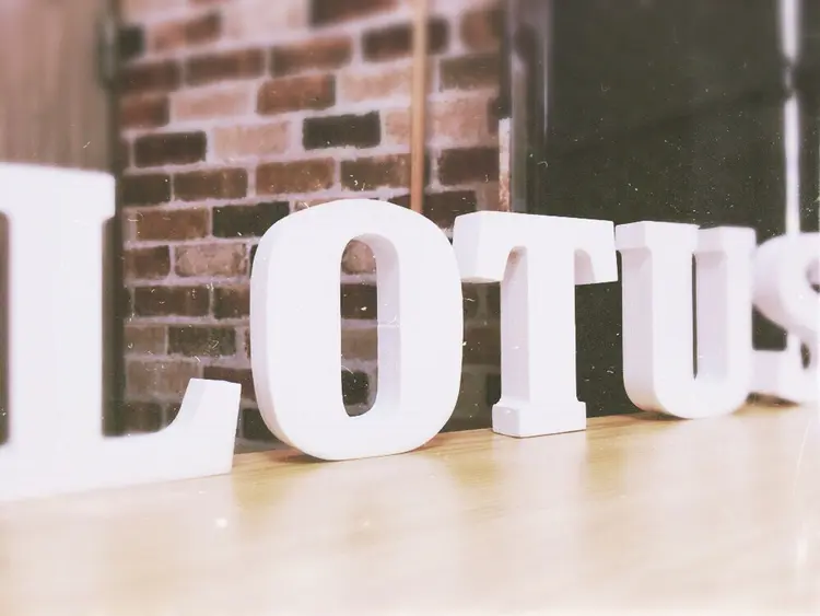 cut&color LOTUSの内観・外観1