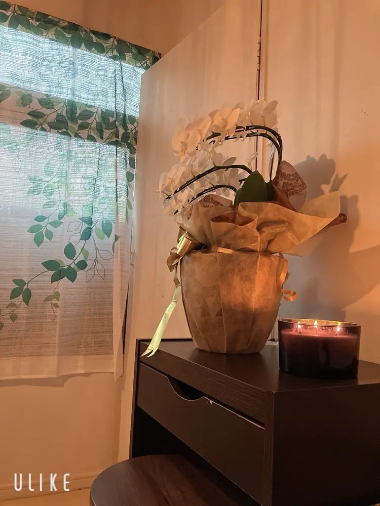 クレビアの内観・外観2