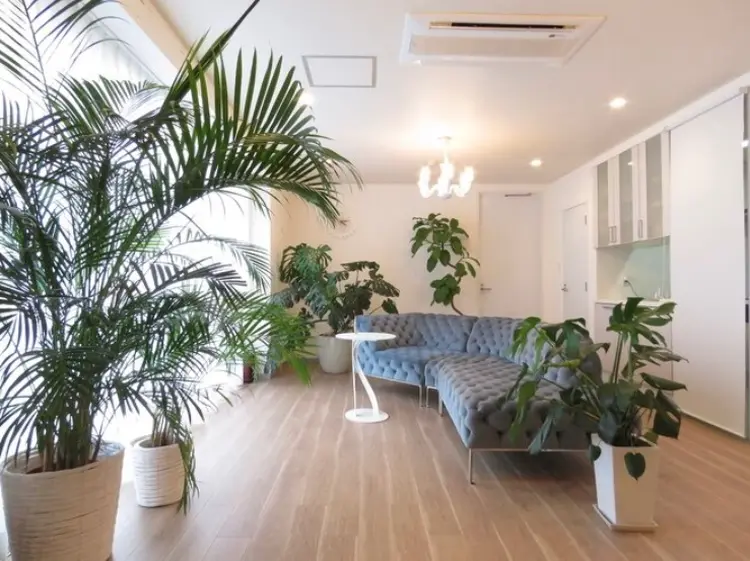 十色 -麻布十番-の内観・外観1