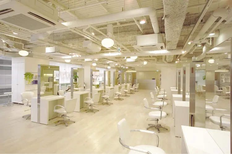 Orga FiberZoomの内観・外観1