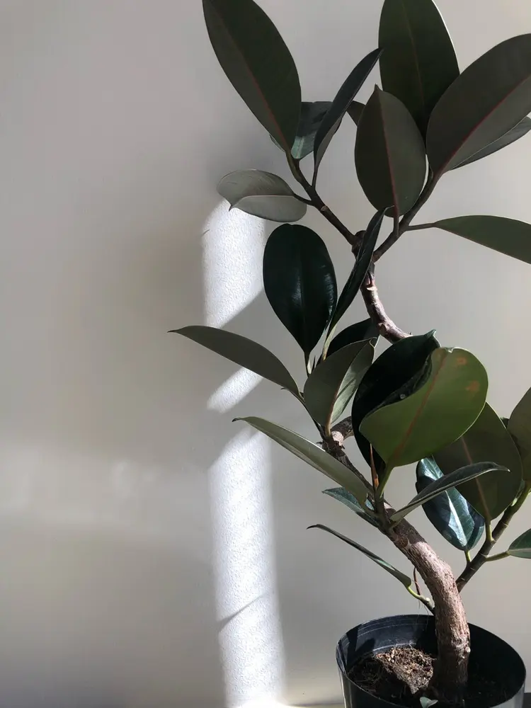 Poolの内観・外観2