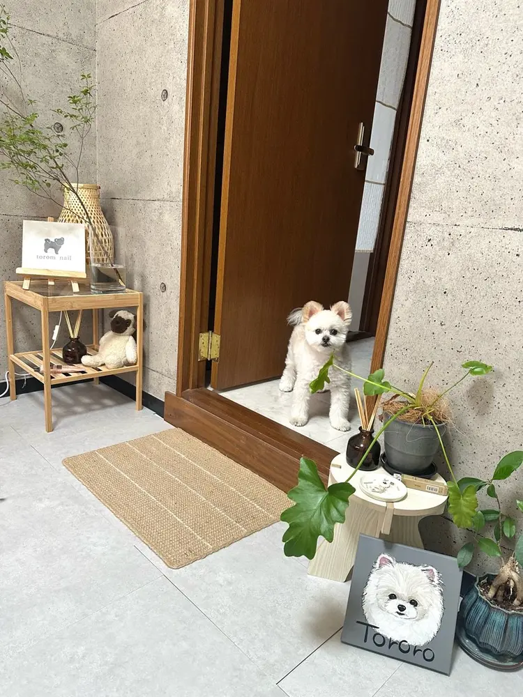 torom nailの内観・外観3