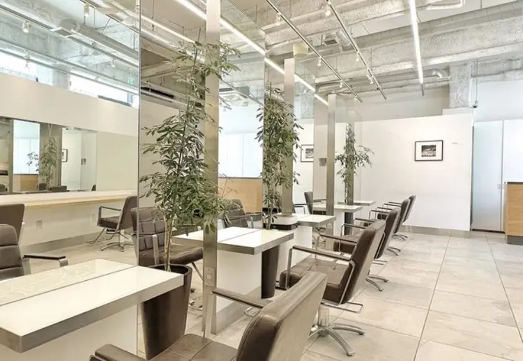 brisaの内観・外観2