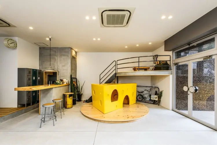 Saltの内観・外観1