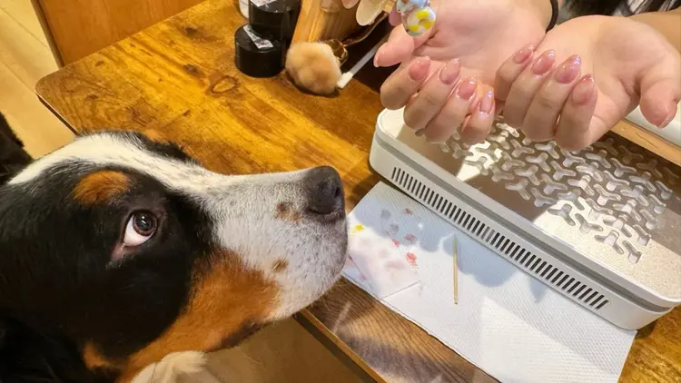 RinRin　nailの内観・外観1