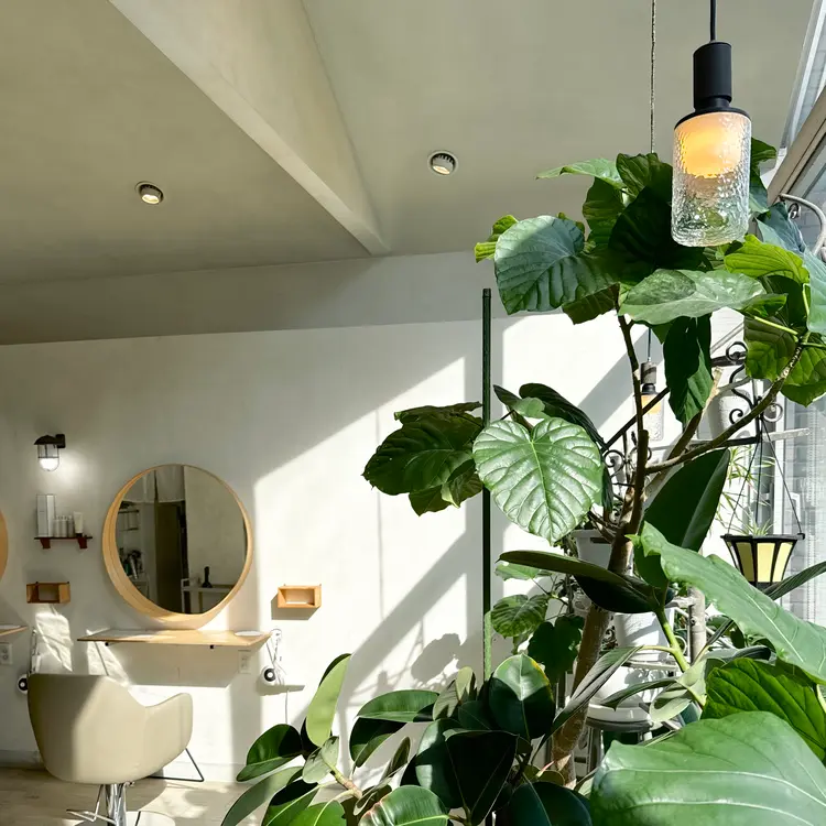 Libertyの内観・外観2