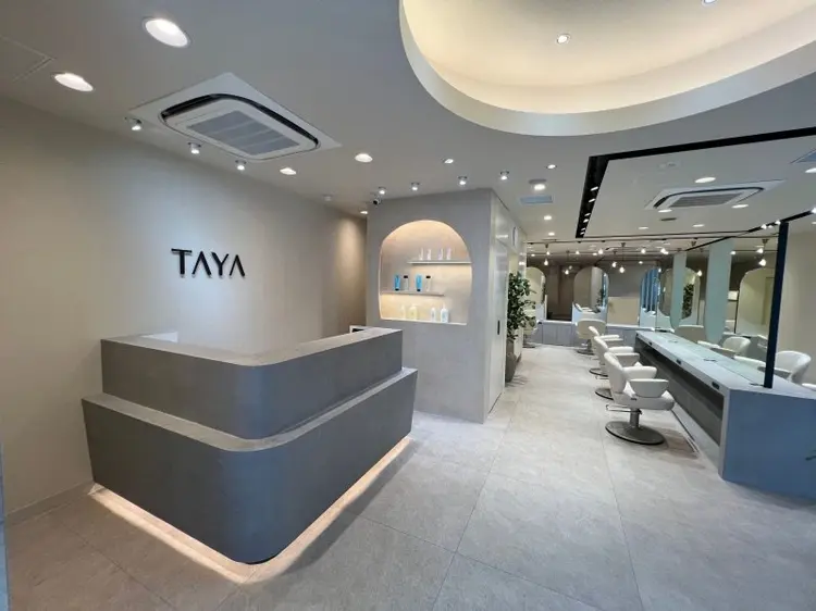 TAYA麹町の内観・外観1