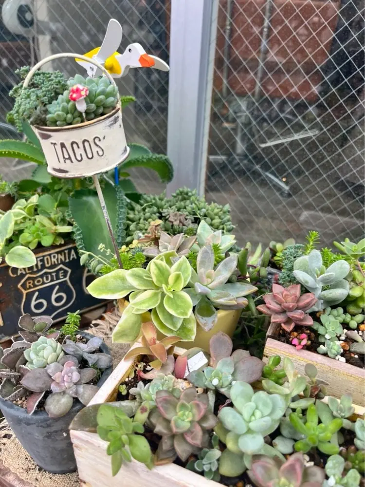 guuca【ぐーすか】の内観・外観3