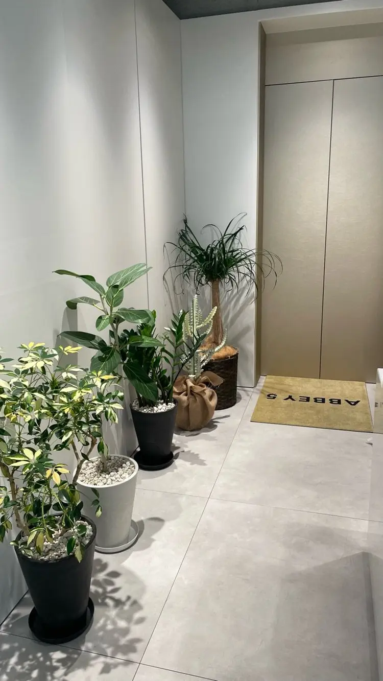 ABBEY5の内観・外観2