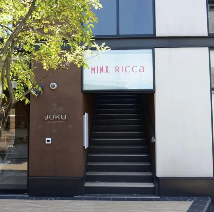 MINX RICCaの内観・外観1