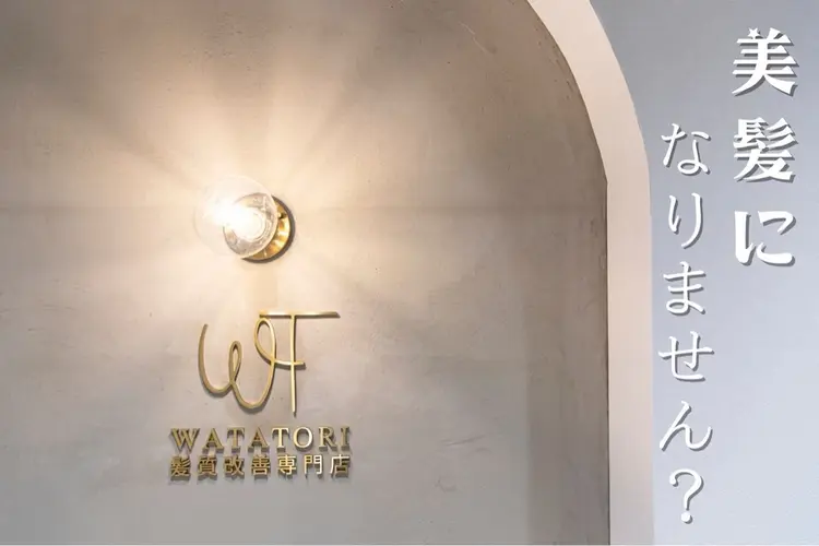 髪質改善専門店waTatoriの内観・外観1