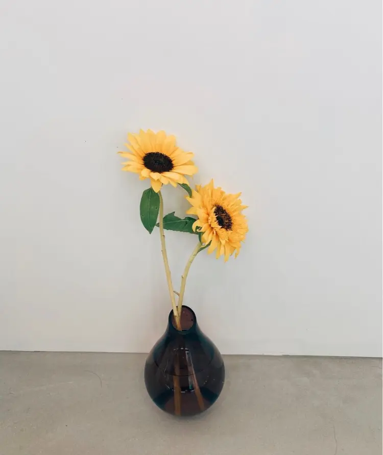 fit　standの内観・外観3