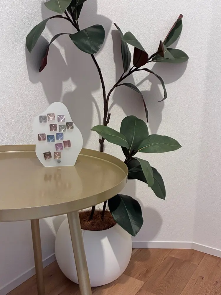 Ebiny'snailの内観・外観2