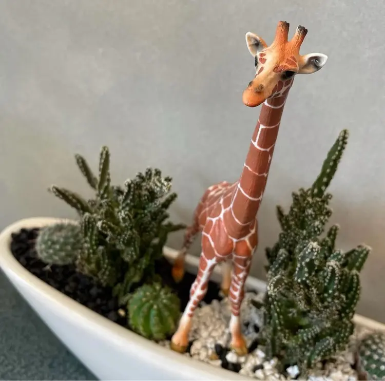 Maison mamanの内観・外観2