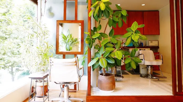 FLOW aoyamaの内観・外観1