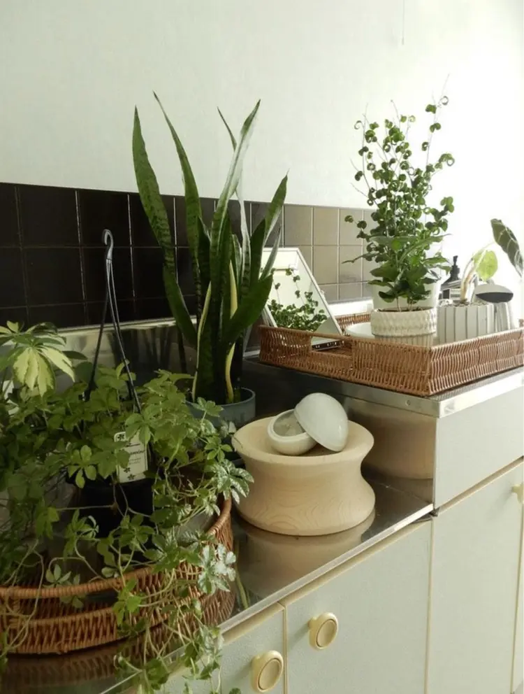 elephaneの内観・外観3