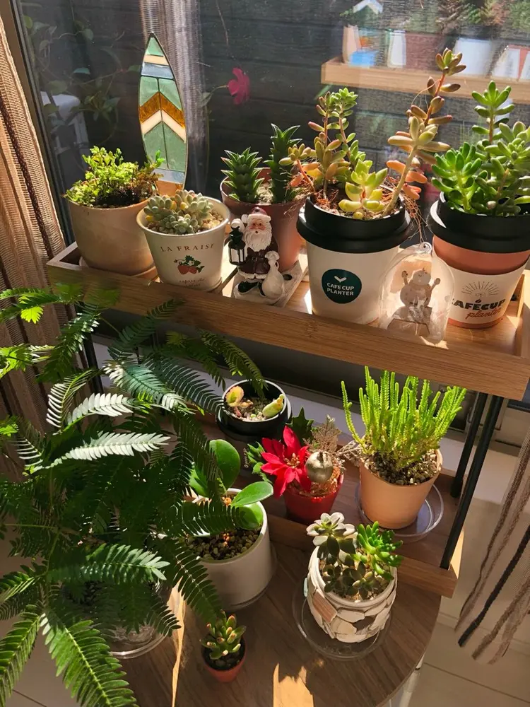 S  nailの内観・外観3