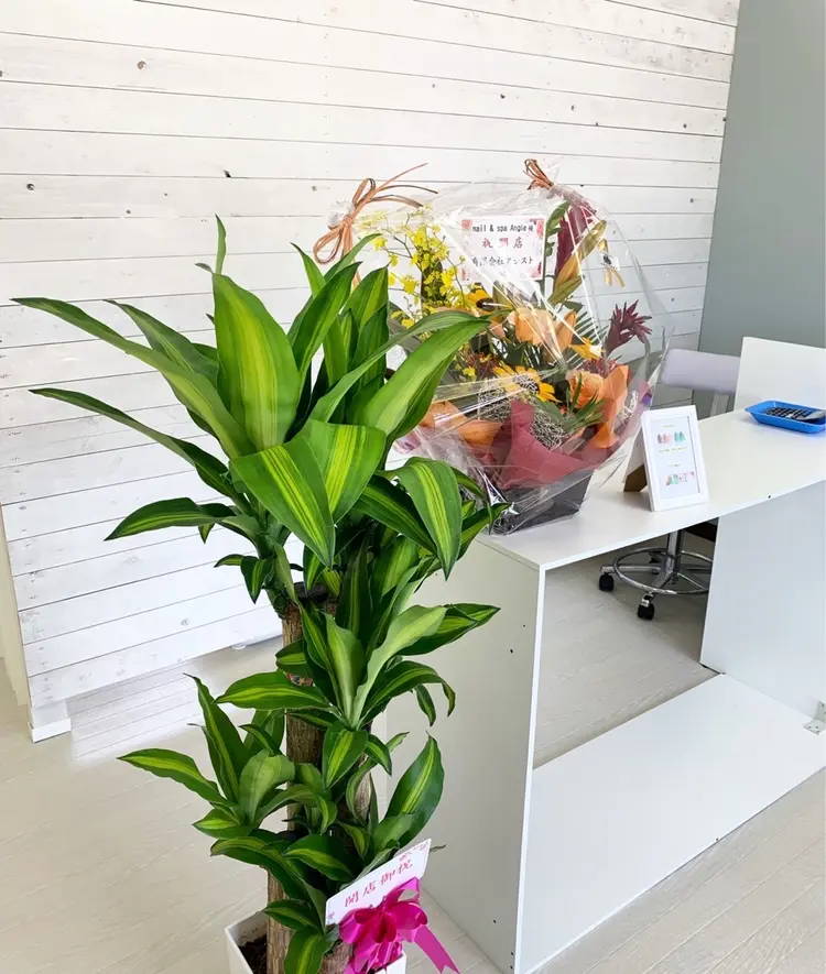 nail&spa Angieの内観・外観3