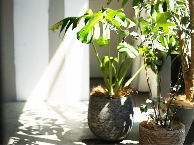 AIN.ANLY 明治神宮前の内観・外観2