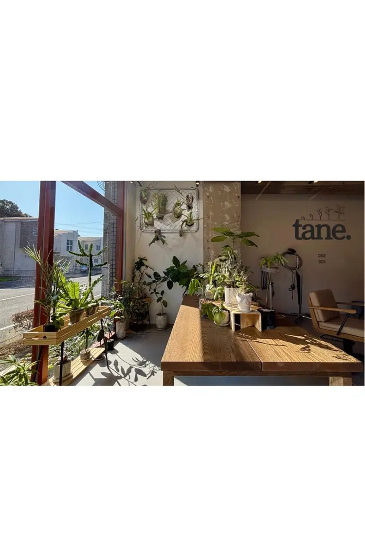 tane.の内観・外観2