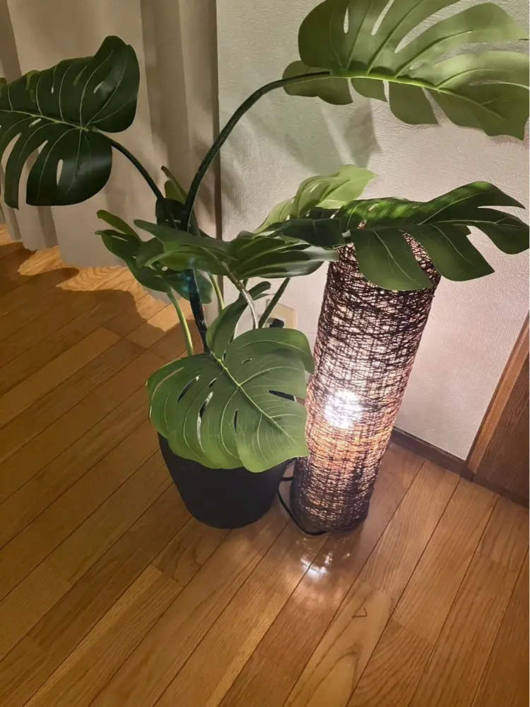 女性専用オイルボディケア専門 Salon N.の内観・外観2