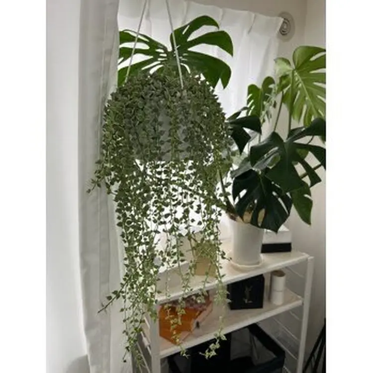 メンズ眉毛サロンYULACE.（ユレイス）の内観・外観2