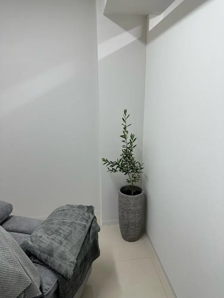 EYE405【アイヨンマルゴ】新宿店の内観・外観2