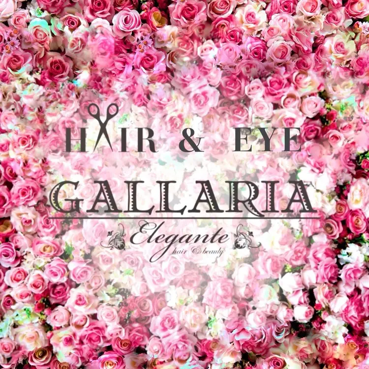GALLARIA Eleganteの内観・外観2