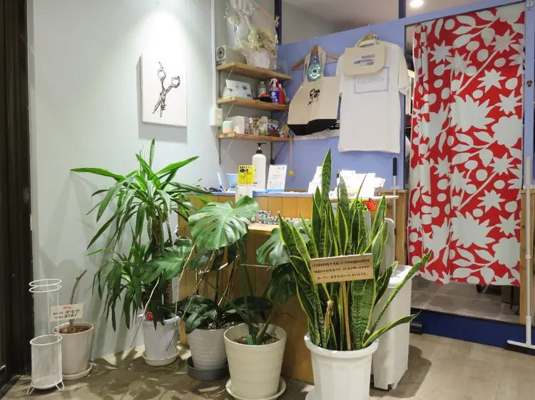 CHAINON(シェノン)の内観・外観3