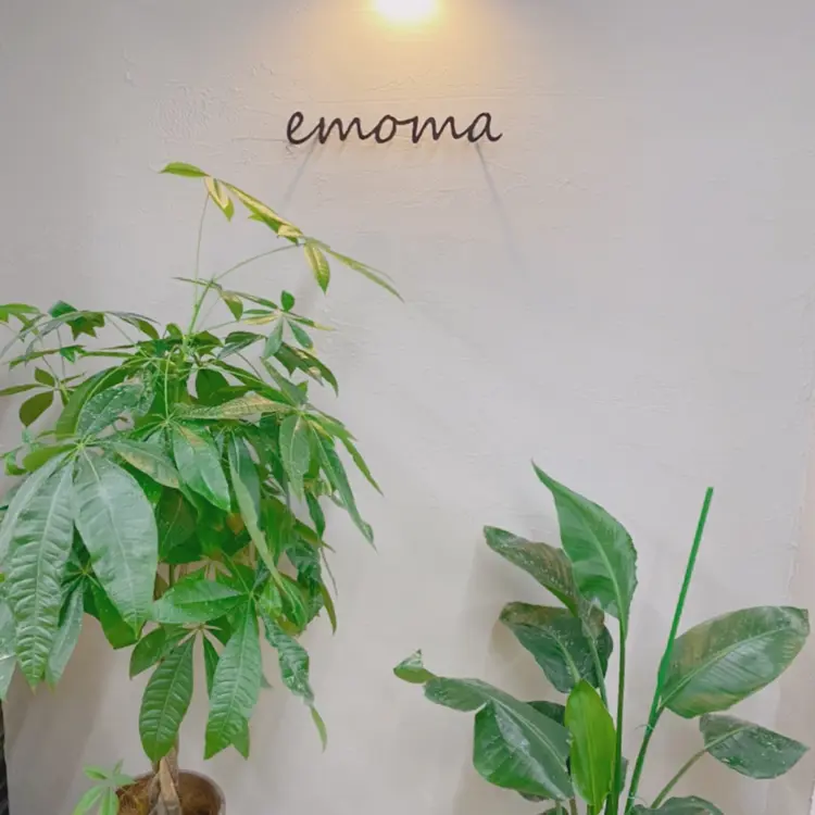 emomaの内観・外観1
