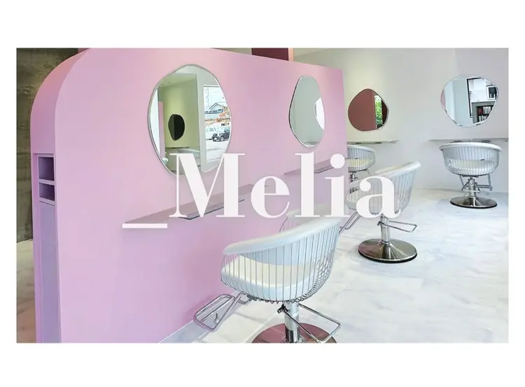 _Meliaの内観・外観1