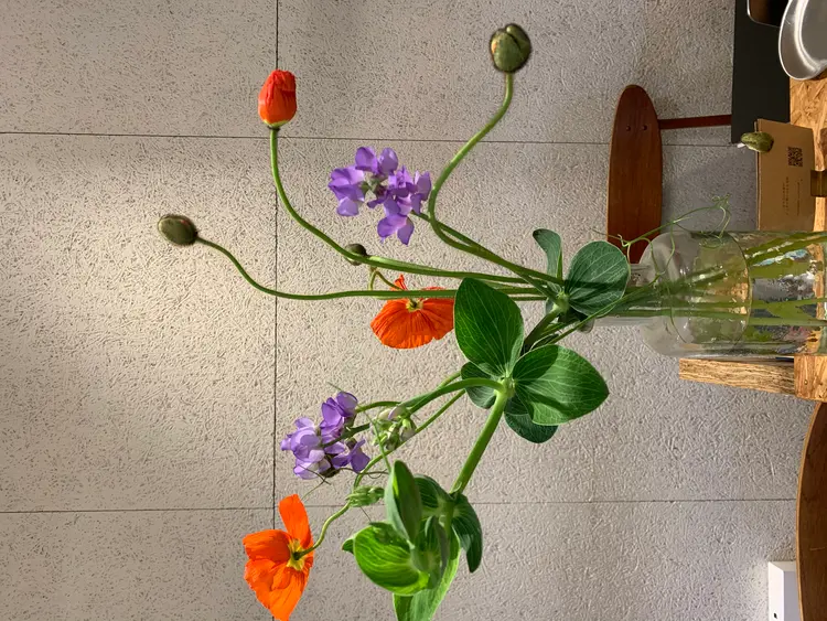 takk design labの内観・外観3