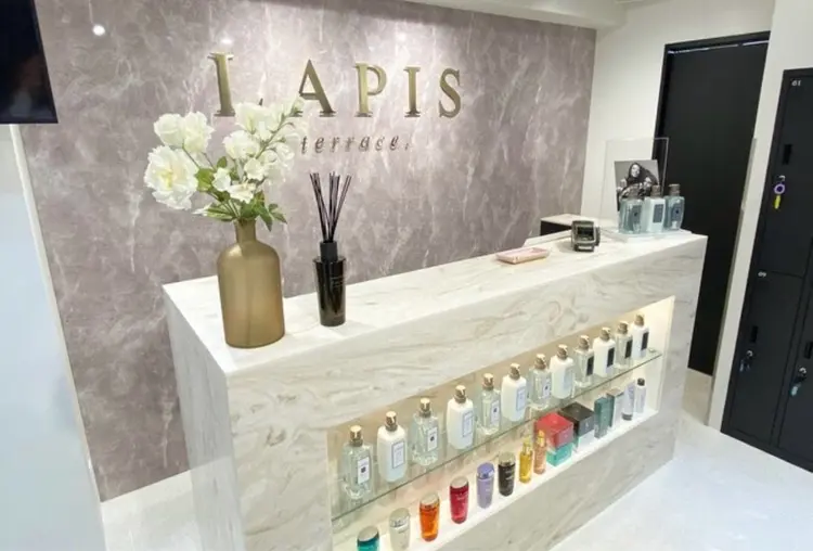 Lapisterraceの内観・外観1