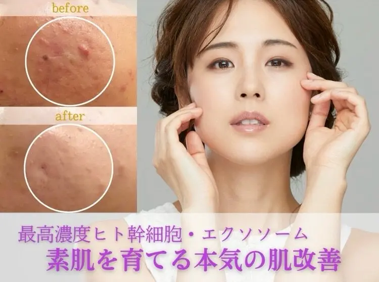 DECIDE L.A.Wの内観・外観1