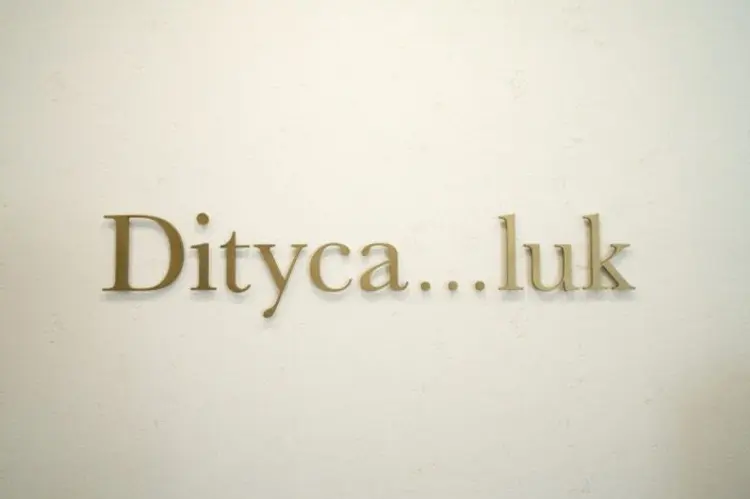 Dityca lukの内観・外観1