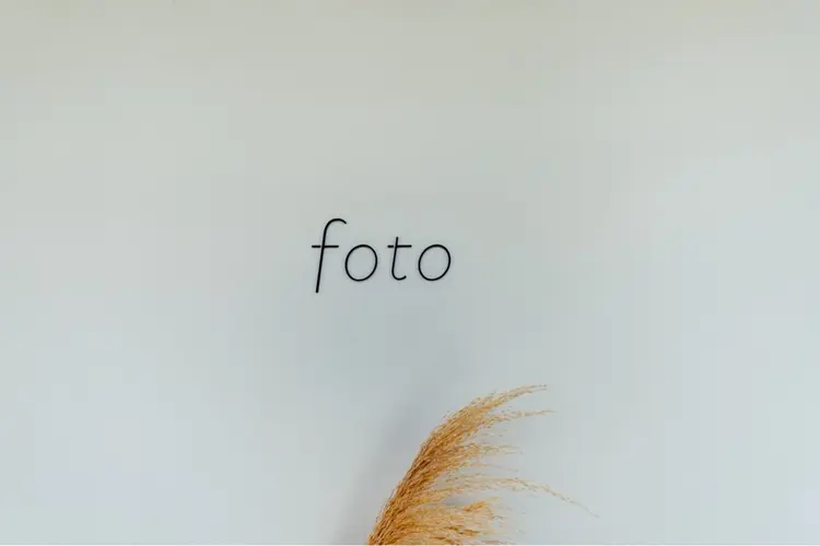 foto富山【フォト】の内観・外観1