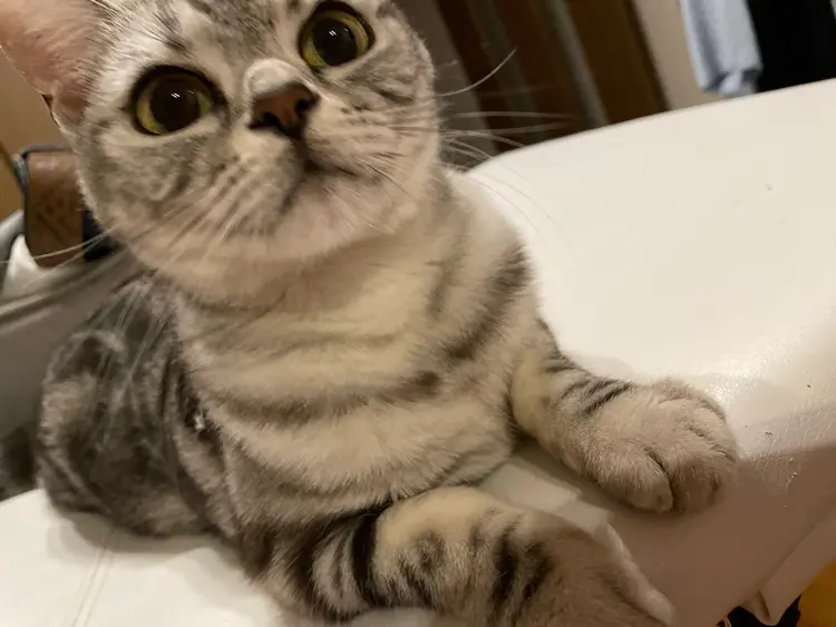 La gemmeの内観・外観3