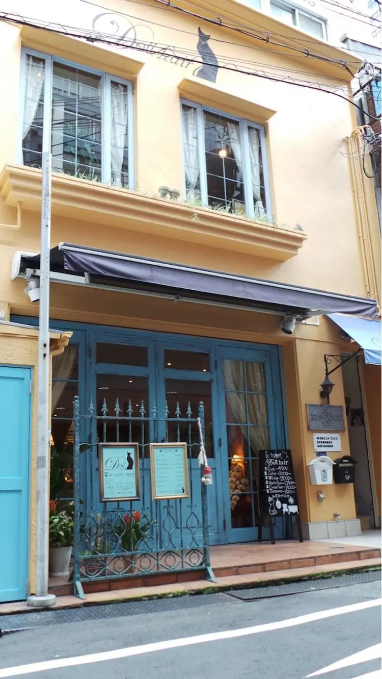 Dollの内観・外観1