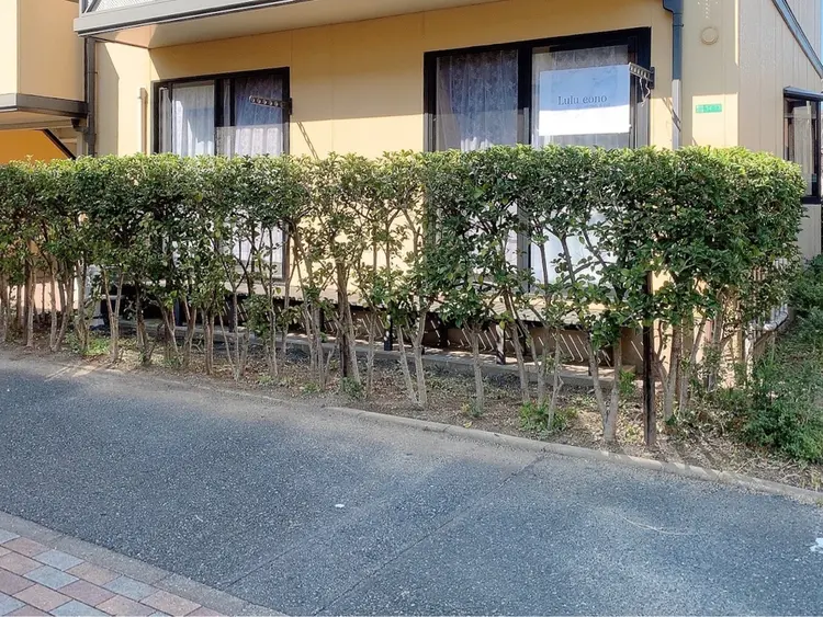 Lulu eonoの内観・外観1