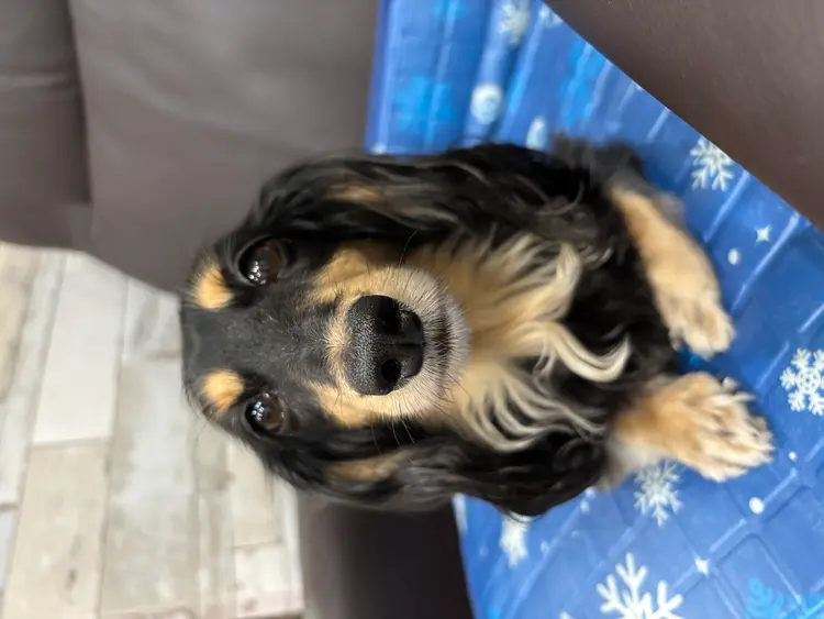 PEPPUの内観・外観3