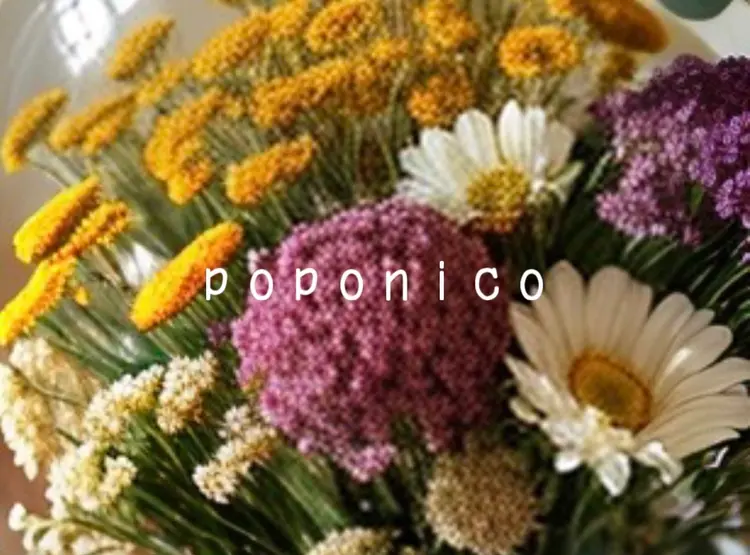 poponicoの内観・外観3