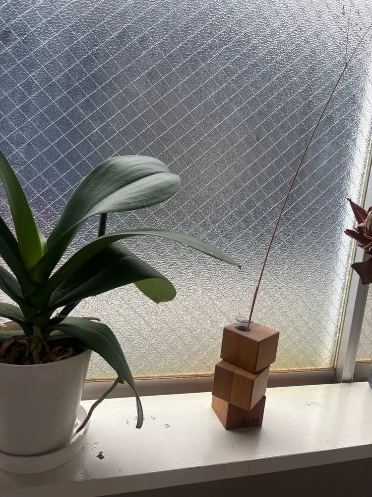 nicoの内観・外観3