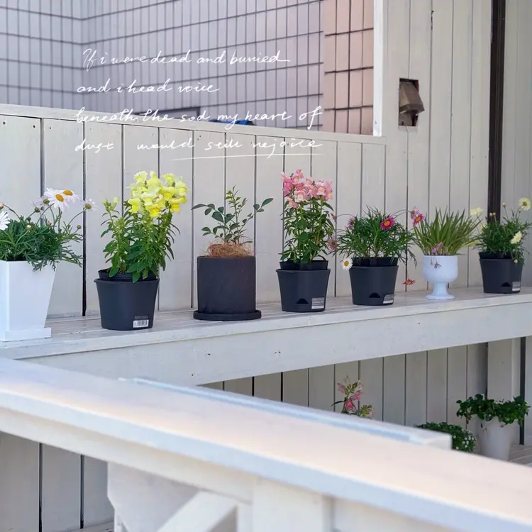 CHERIR NAILSALONの内観・外観3