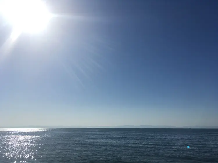 rufle oceanの内観・外観2