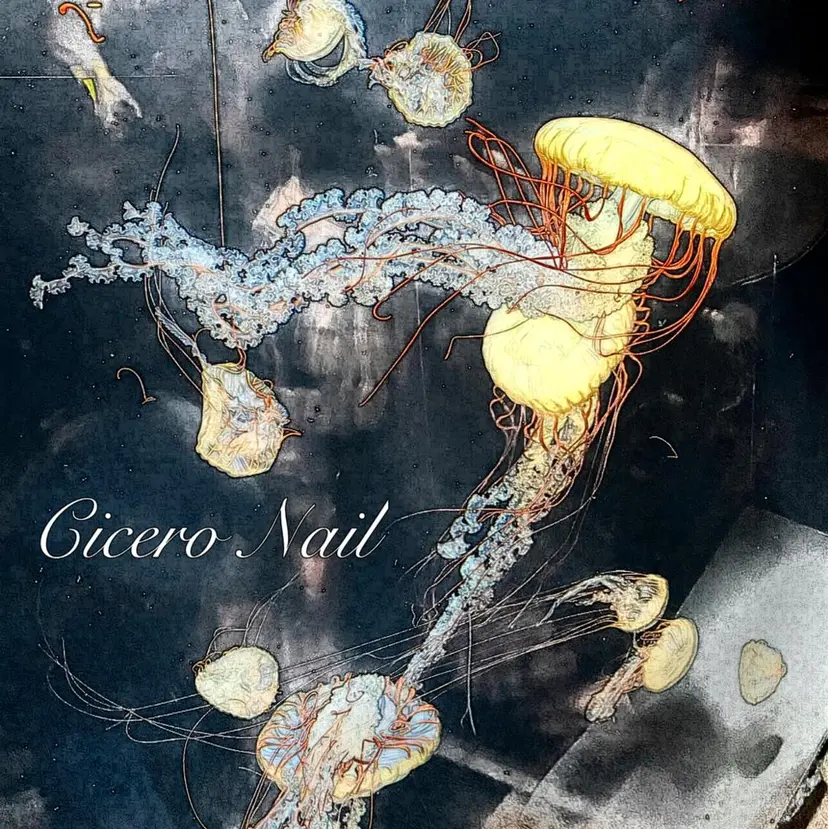 Ciceronail Soraの掲載
