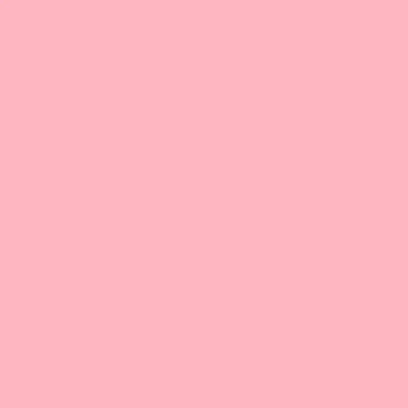 🎀カラーモデル 募集中✧めい🎀の掲載