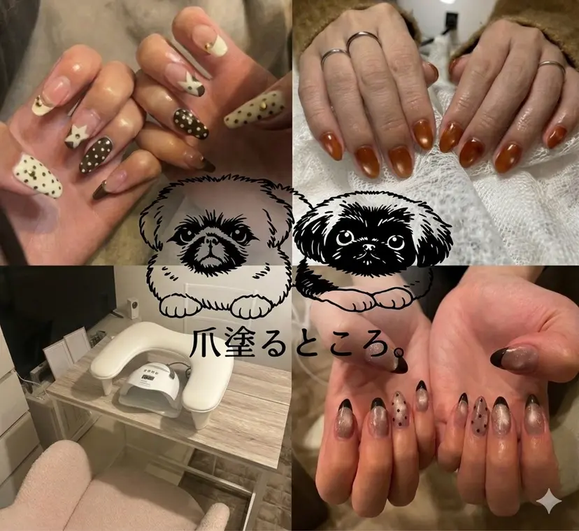 TANAKA SAKIの掲載
