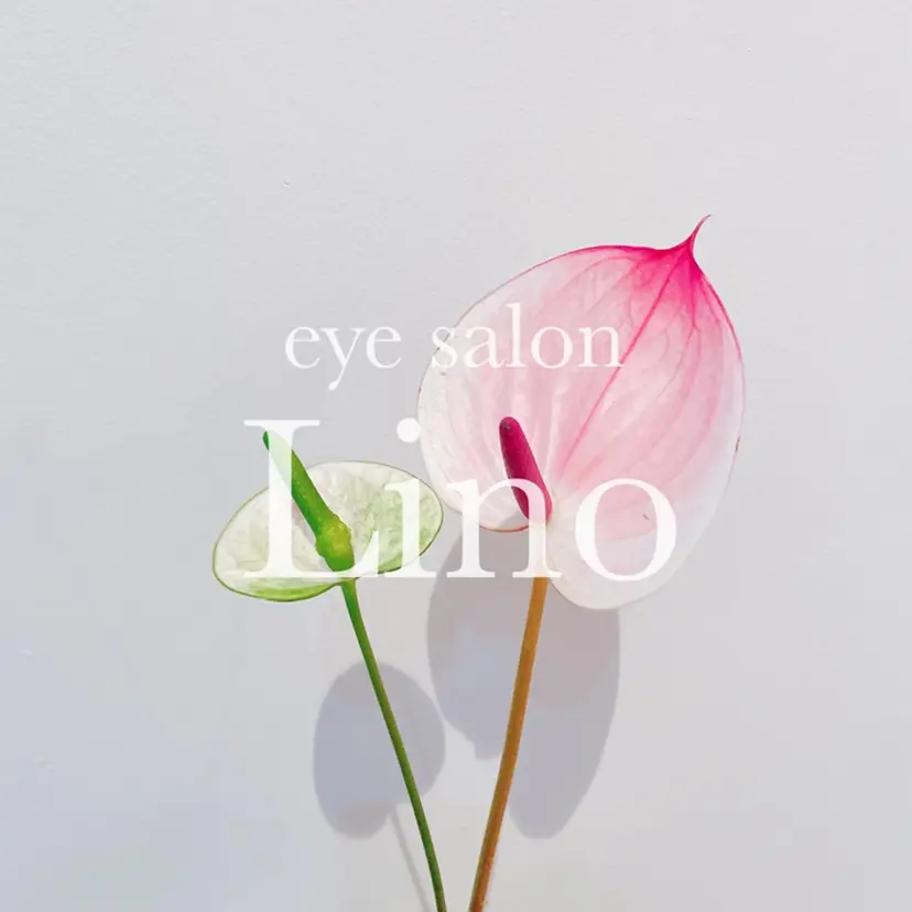shoko .の掲載