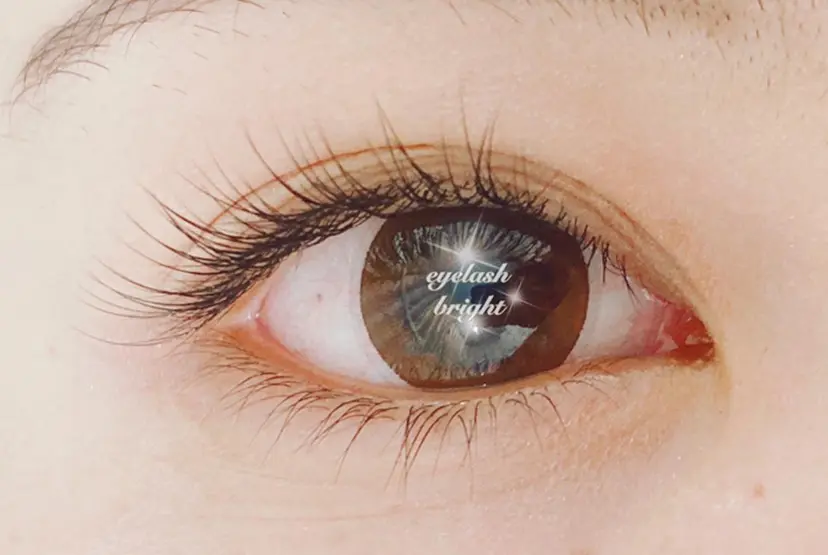 eyelash brightの掲載